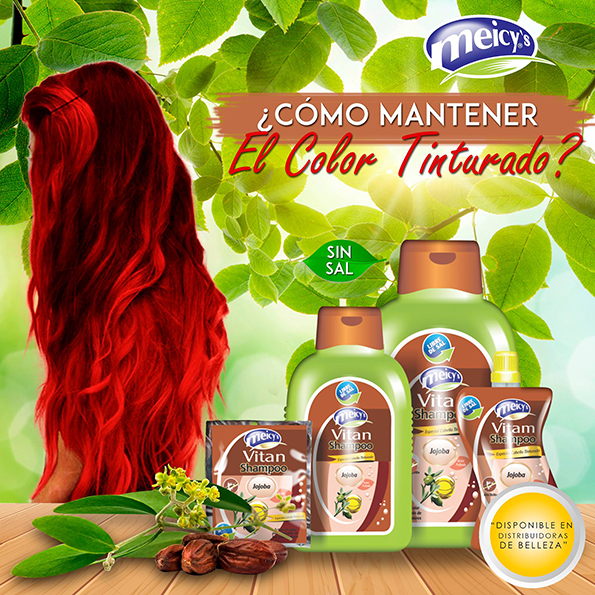 Diseño de Piezas RRSS Vitan Shampoo Meicys