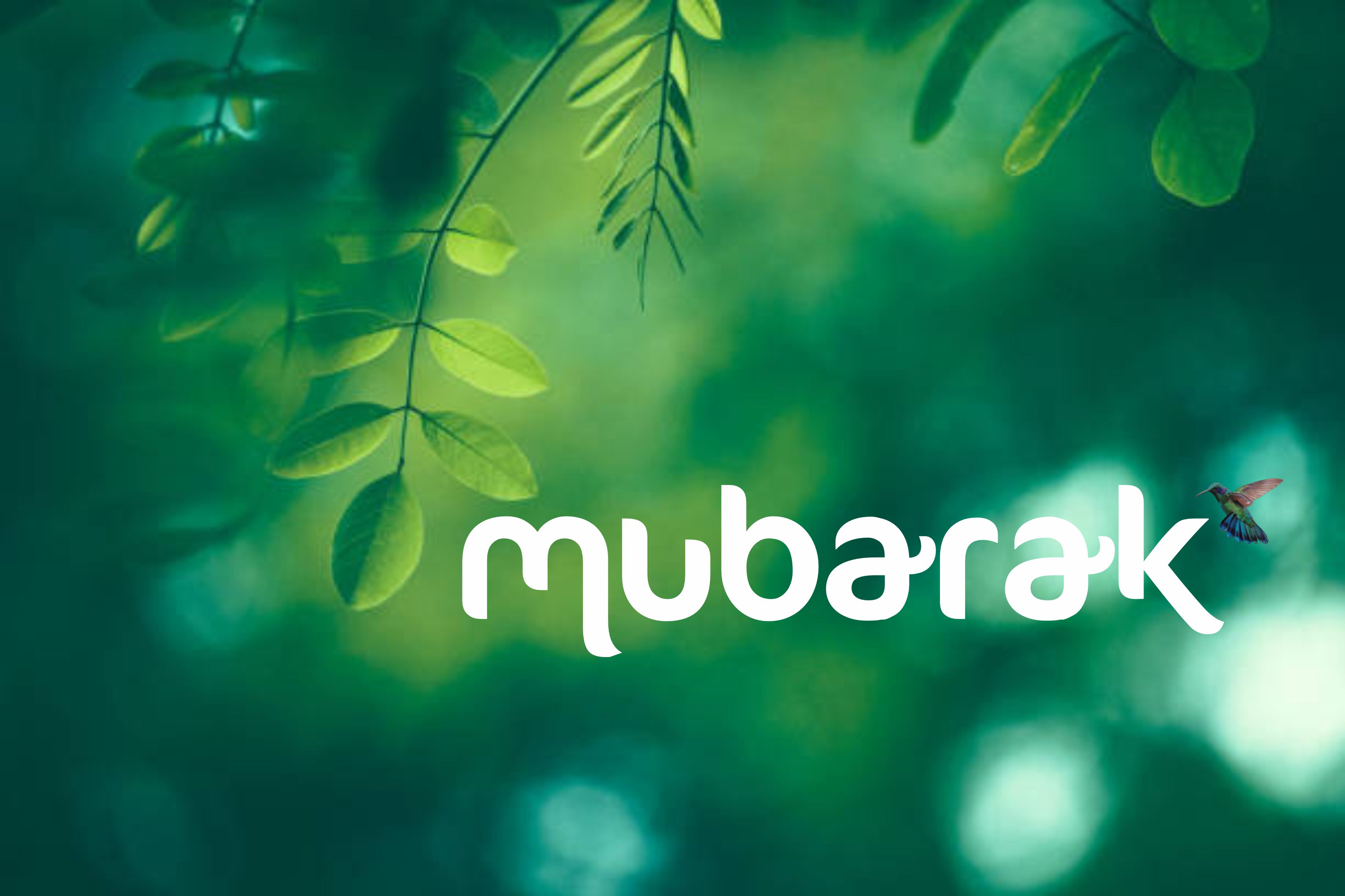 Nubarak