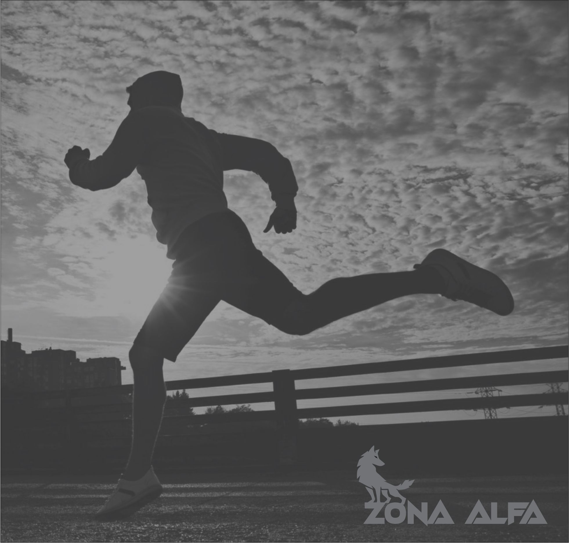 Diseño de Identidad de Marca Zona Alfa