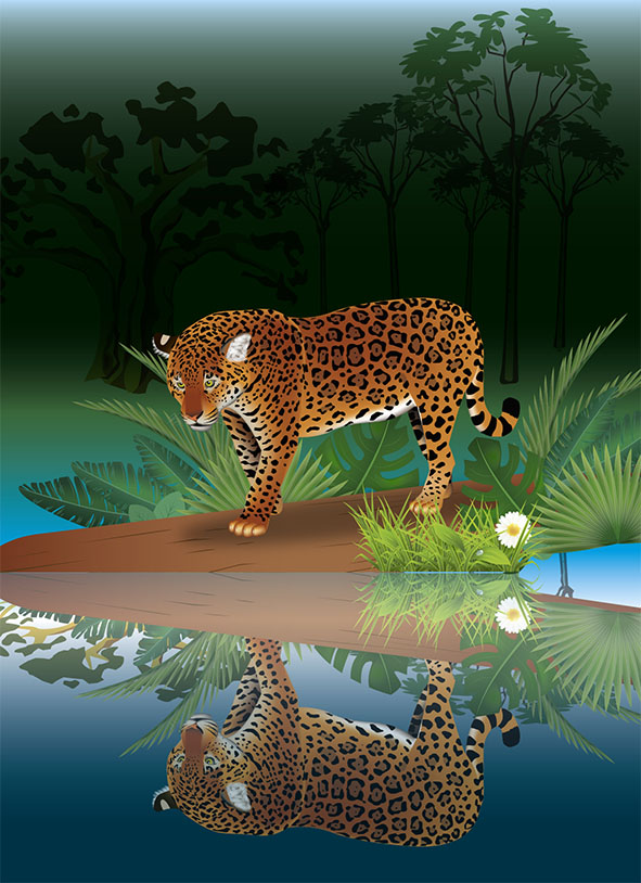 Ilustración Jaguar o Tigre Americano